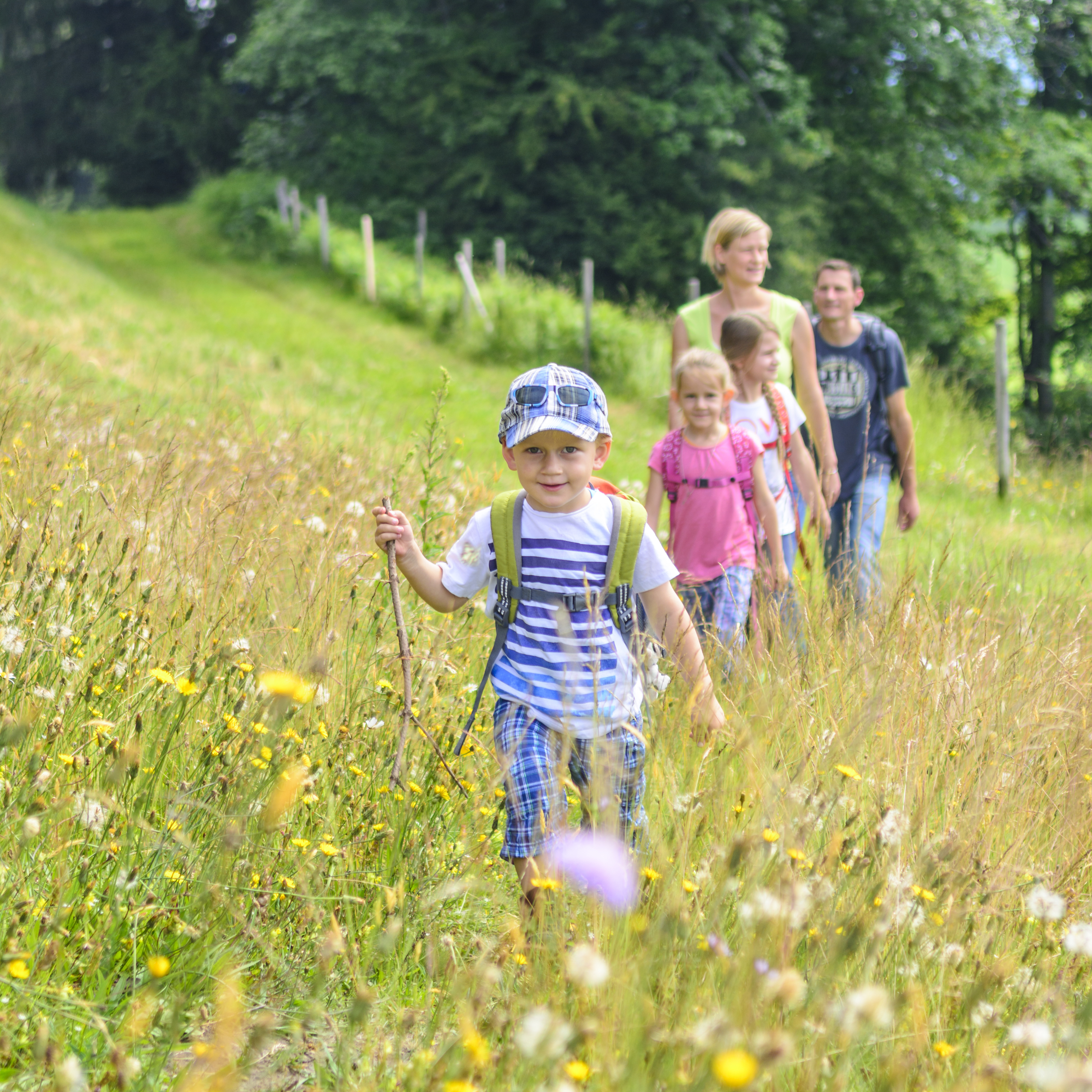 Hiking with Infants, Toddlers & Kids